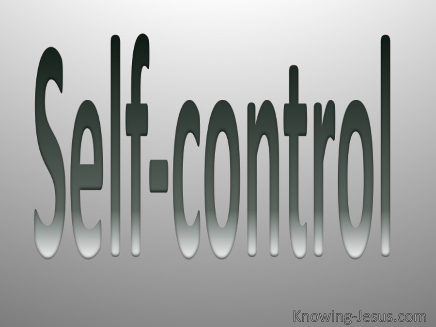 Galatians 5:23  Fruit Of The Spirit Is Self Control (gray)